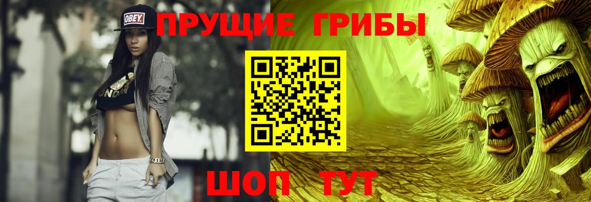Галлюциногенные грибы GOLDEN TEACHER Курганинск